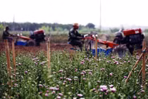 Lên quận: Cơ hội cho Bắc Từ Liêm “đổi đời"