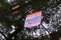 "Loạn" quảng cáo “không giống ai” ở Hà Nội