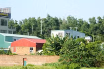 Hà Nội: “Quan” phường “xẻ thịt” đất nông nghiệp... thu lời