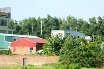 Hà Nội: “Quan” phường “xẻ thịt” đất nông nghiệp... thu lời