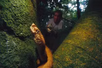 Những vùng đất lạnh gáy trên trái đất chỉ có một, hiếm người dám ghé thăm