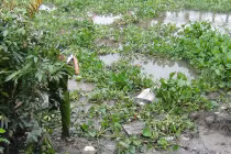 Phát hiện thi thể trôi trên sông Sài Gòn