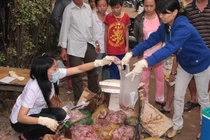 60% mẫu thịt gia súc, gia cầm tại HN nhiễm vi sinh