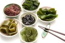 Món ngon khó cưỡng từ rong biển