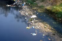 Ung thư, ngộ độc vì dùng nước nhiễm kim loại nặng