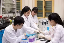 Quy hoạch, sắp xếp lại hệ thống cơ sở đào tạo