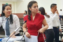 Bà Diệp Thảo muốn đổi 10 tỷ tiền cấp dưỡng cho con thành 20% cổ phần