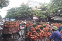 Người dân Lục Ngạn đổ xô đi bán vải, đường ùn tắc hàng cây số