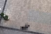 Cụ bà rơi tầng 20 xuống đất tử vong tại chung cư CT7 Dương Nội