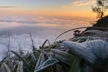 Khi nào sẽ có tuyết rơi ở Sapa, Mẫu Sơn?