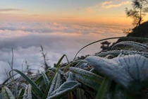 Khi nào sẽ có tuyết rơi ở Sapa, Mẫu Sơn?