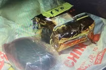 Vườn ma túy ở ven Sài Gòn của “ông trùm” Út Trọc khủng cỡ nào?