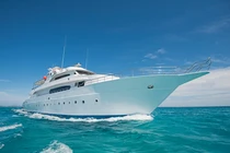 Những công việc "dị" nhưng được trả lương cao 