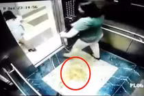 Phạt 2 triệu đồng chủ hộ có khách lấy mũ bảo hiểm che camera để "tè bậy"