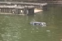 Phát hiện thi thể phụ nữ nổi trong ao khuôn viên đền Phù Đổng