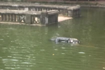 Phát hiện thi thể phụ nữ nổi trong ao khuôn viên đền Phù Đổng