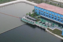 Shark Liên đánh bóng golf xuống hồ lắng: Sông Đuống vi phạm an toàn nước sạch