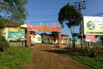 Hành trình xài bằng giả tiến thân của nữ quan Đắk Nông Hoàng Thị Quyên