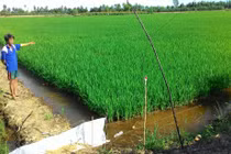 Bẫy chuột bằng điện làm chết người: Thiếu hiểu biết hay độc ác?