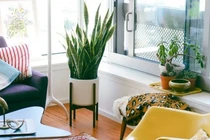 Đặt 4 thứ này ở đầu giường: Vợ chồng lục đục, tiền bạc hao tán