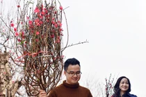 Thưởng Tết, nợ lương các doanh nghiệp phải báo cáo trước 20/12