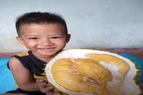 Lạ lùng: Hạt sầu riêng được thu mua gía cao hơn... quả