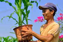 Biến cây trái thành hàng độc lạ, mỗi năm bỏ túi hơn 1 tỷ đồng