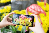 Lưu trọn khung hình ngày Tết bằng Galaxy A8/A8+