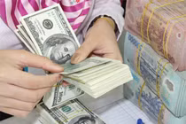 NHNN vạch rõ nguyên nhân tỷ giá tăng "sốc"