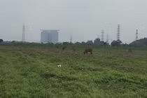 Giá đất ở Bình Dương sốt ảo, nguy cơ vỡ bong bóng