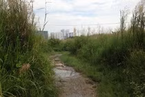 Bên trong dự án Phước Kiển ông Tất Thành Cang đồng ý bán cho QCGL