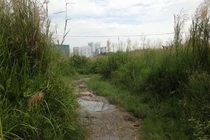 Bên trong dự án Phước Kiển ông Tất Thành Cang đồng ý bán cho QCGL