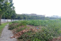 Gamuda Land mở bán dự án Diamond Alnata khi chưa được cấp phép?