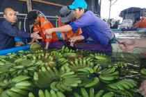 Bầu Đức bán cổ phiếu cơ cấu nợ cho Hoàng Anh Gia Lai