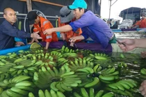 Bầu Đức bán cổ phiếu cơ cấu nợ cho Hoàng Anh Gia Lai