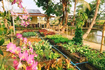 Sự thật bất ngờ sau căn "nhà tranh - tim vàng" đang gây "sốt"