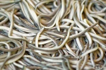 Vừa xấu lại không mùi vị nhưng thực phẩm này lại có giá cắt cổ 