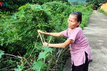 Ảnh: Xót xa những phận người sống mòn ở trại phong bỏ hoang