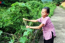 Ảnh: Xót xa những phận người sống mòn ở trại phong bỏ hoang