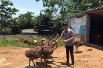 Trưởng thôn mặt “búng ra sữa” kiếm trăm triệu nhờ nuôi chim