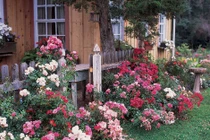 “Nhà chồng nghĩ chung cư đắt tiền của chúng tôi là nhà trọ“