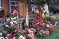 “Nhà chồng nghĩ chung cư đắt tiền của chúng tôi là nhà trọ“