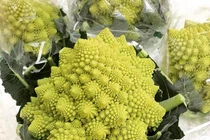 Dán mác hàng Nhật, cây súp lơ giá chát 250.000