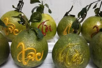 Hoa quả độc lạ Tết 2018: Bưởi thỏi vàng, dưa hấu vuông