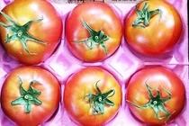 Cà chua Hoàng gia Nhật 1,6 triệu/kg hút hồn nhà giàu Việt 