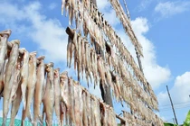 Về Cà Mau xem nghề khô cá truyền thống "hốt bạc"