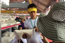 Người dân Sài Gòn mê mẩn gạo nếp Lào