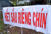 Thực hư về sầu riêng ăn trả hạt giá 15.000 đồng/kg