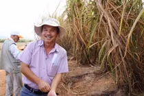 Mía đường của bầu Đức bị nghi ngờ