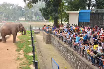 Đã có quyết định xây bãi đỗ xe ngầm trong công viên Thủ Lệ